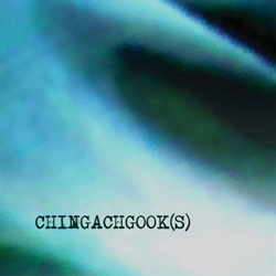 Chingachgook(s)