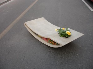 Jutta Friedrichs's Paved Landscape